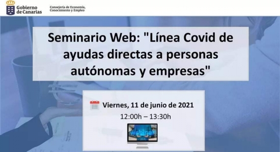 Seminario web: «Línea Covid de ayudas directas a personas autónomas y empresas»